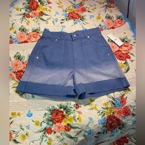 SALE $10! NWOT BDG Urban Outfitters blue ombre bulldog shorts,M 28